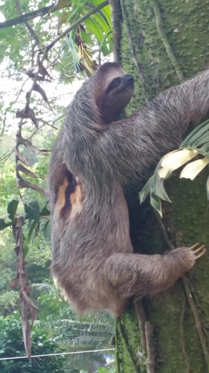 Panama Eco Resort Tierra Oscura ภายนอก รูปภาพ