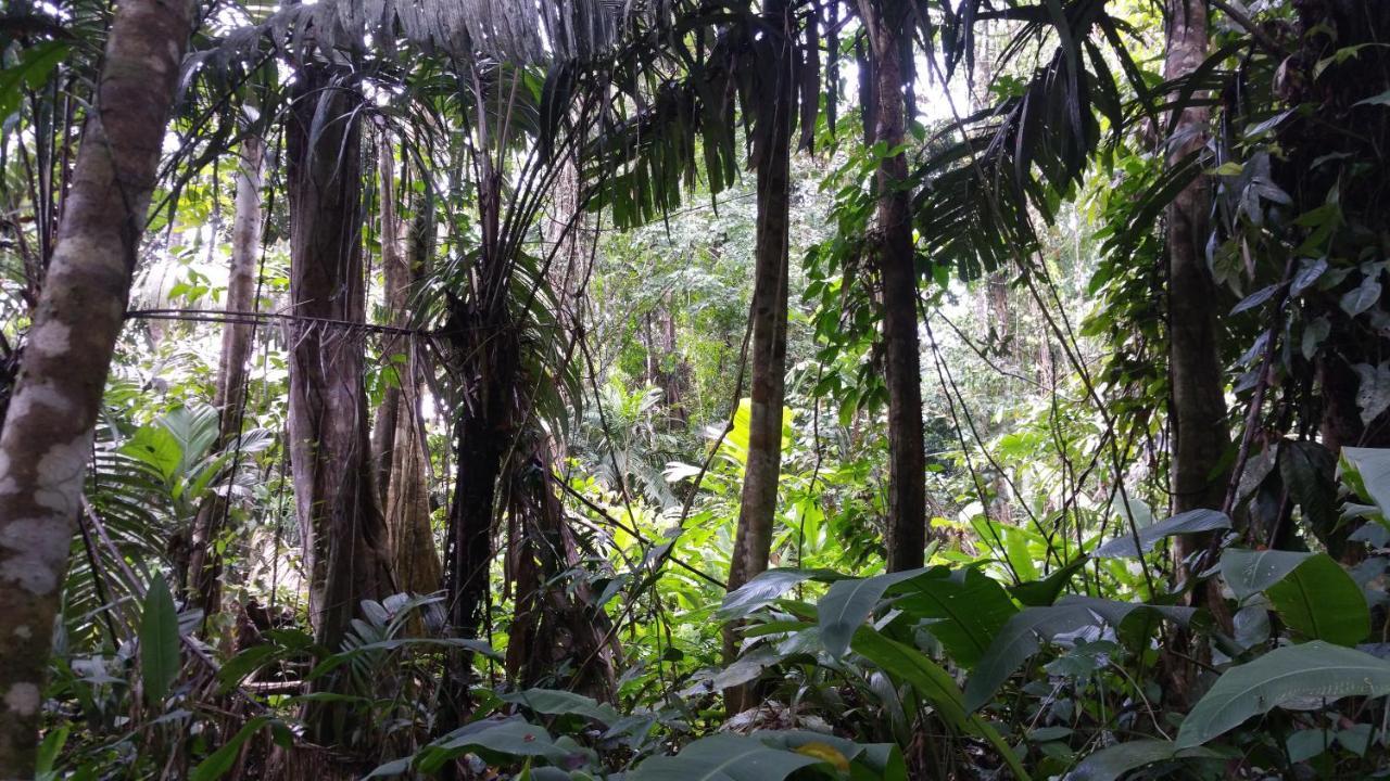 Panama Eco Resort Tierra Oscura ภายนอก รูปภาพ