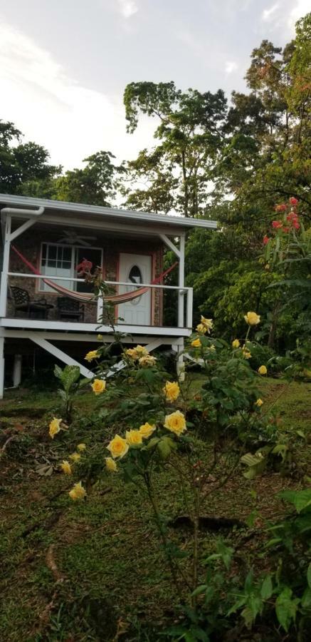 Panama Eco Resort Tierra Oscura ภายนอก รูปภาพ