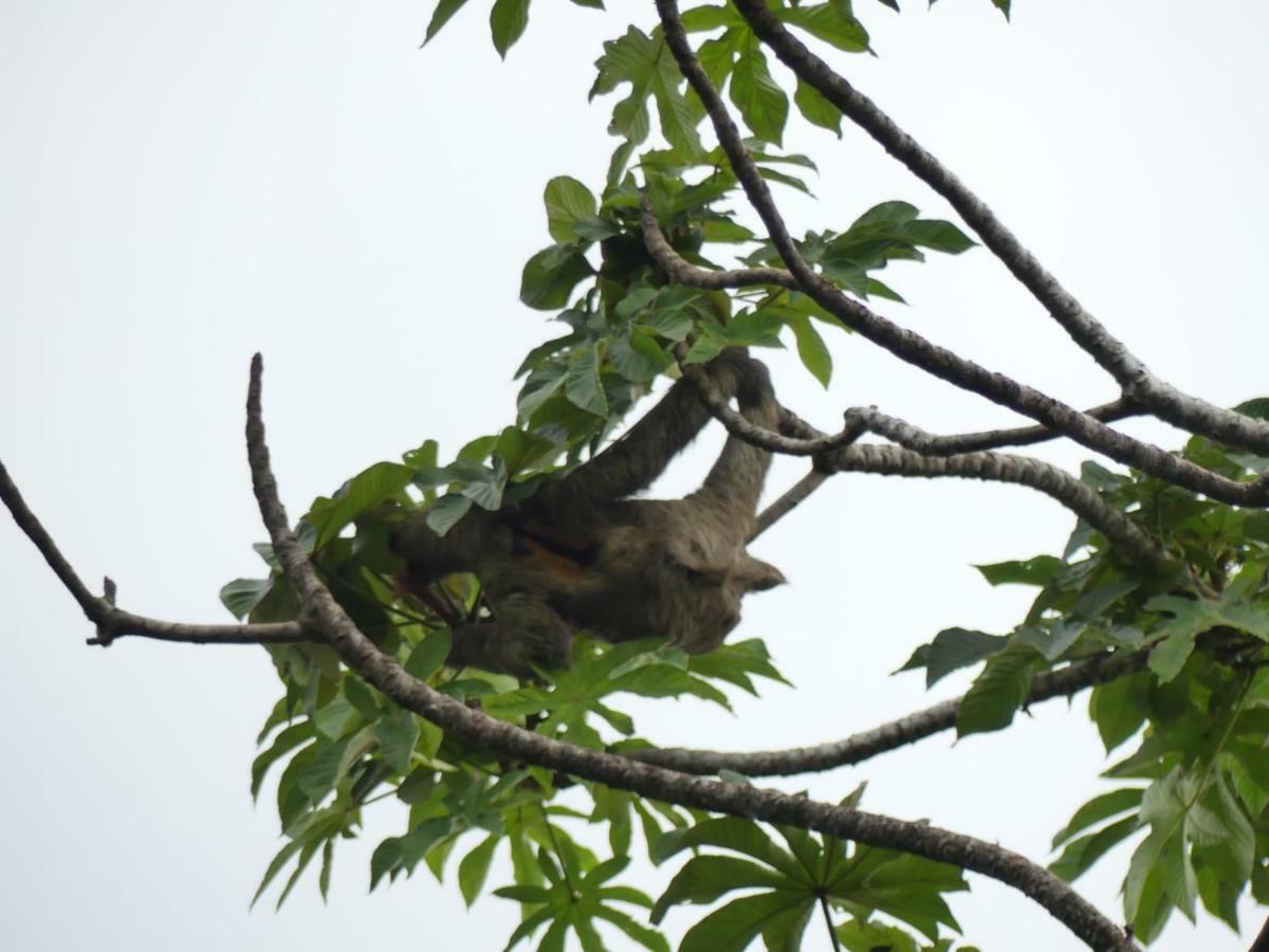 Panama Eco Resort Tierra Oscura ภายนอก รูปภาพ